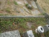image number TNWELLRD 885